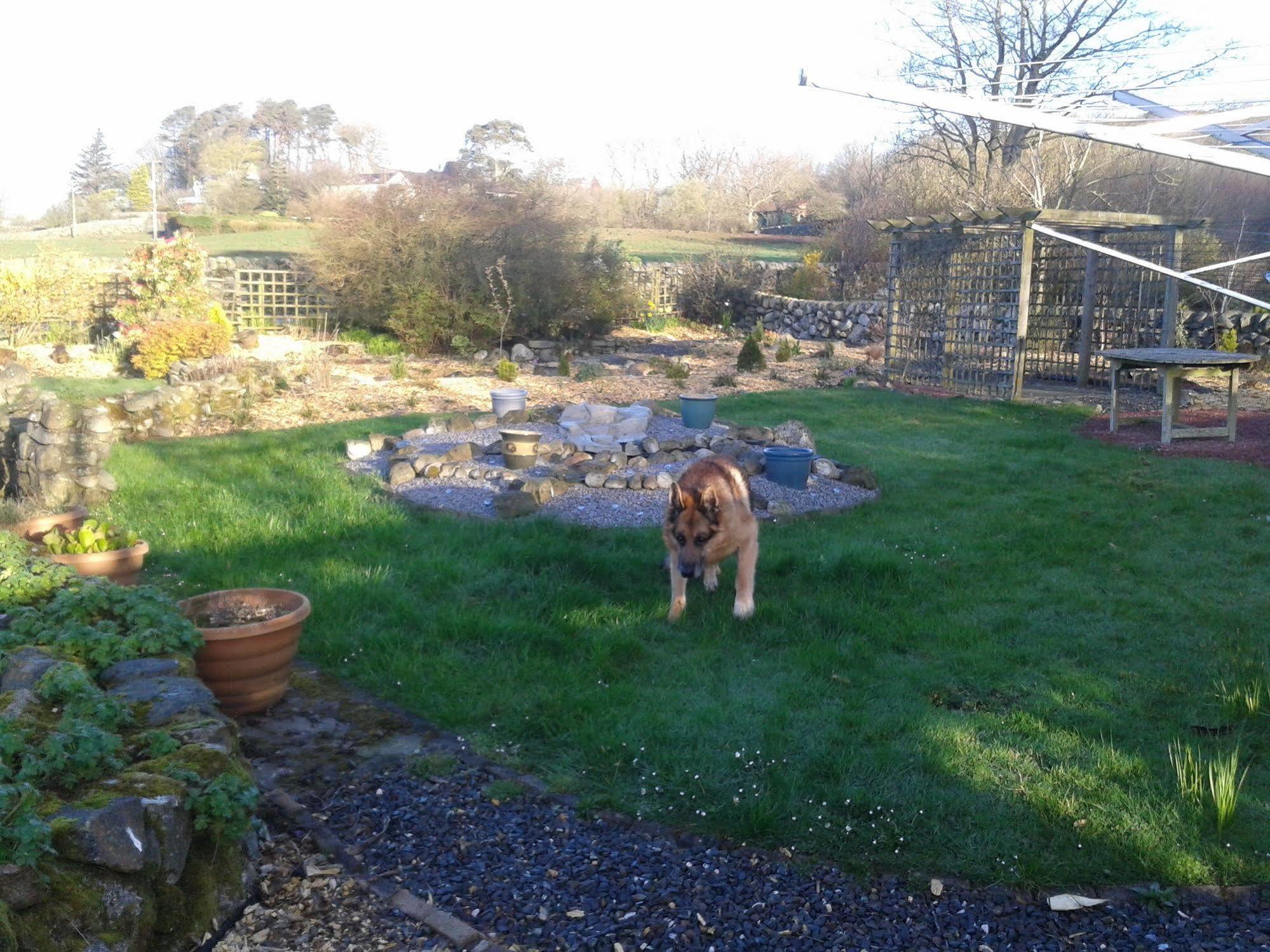 Springfield B&B Boreland of Colvend Luaran gambar